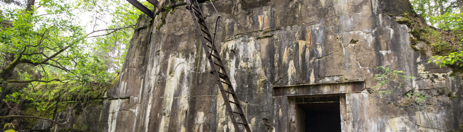 Purjetamine Naissaarele