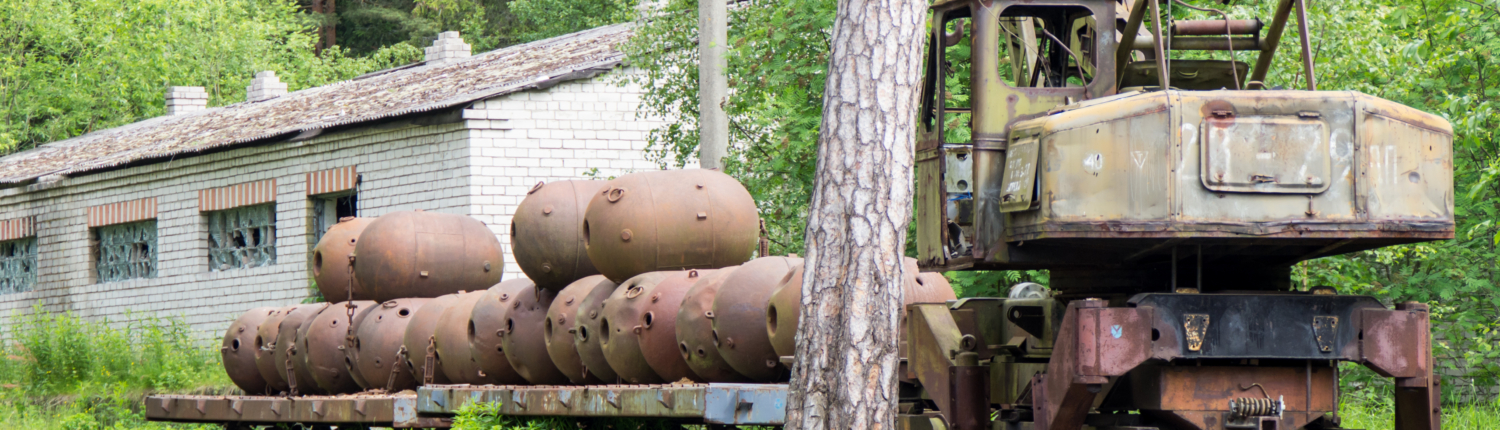 purjetamine Naissaarele